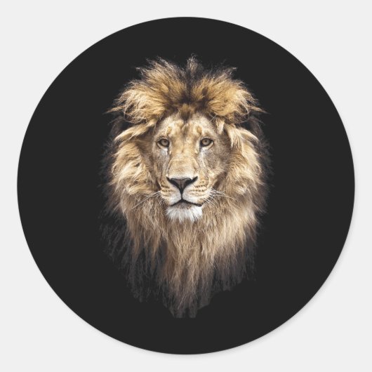 Sticker Rond Lion Principal Animal Face Big Cat (Devant)