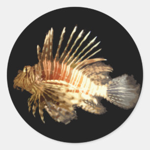 Sticker Rond Lionfish