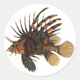 Sticker Rond Lionfish Poisson, Vintage Vie Marine Océan Animal