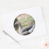 Sticker Rond Liquide (Enveloppe)