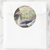 Sticker Rond Liquide (Sac)