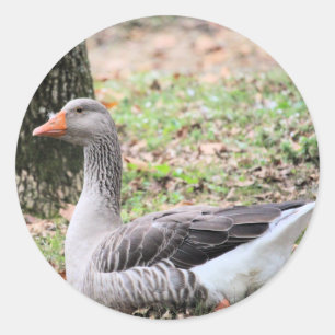 Sticker Rond Liquide