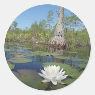 Sticker Rond Lit d'eau 2