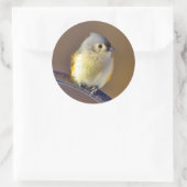 Sticker Rond Little Bird (Sac)