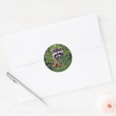 Sticker Rond Little Woodland Wilderness Raccoon (Enveloppe)