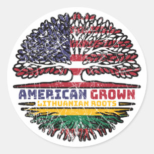 Sticker Rond Lituanie États-Unis d'Amérique lituanienne États-U