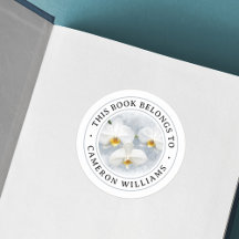 Livre de peinture phalaenopsis orchidée blanche ét