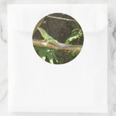Sticker Rond Lizard vert jamaïcain (Sac)