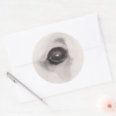 Sticker Rond L'œil de l'ours – Collection Regards (Enveloppe)