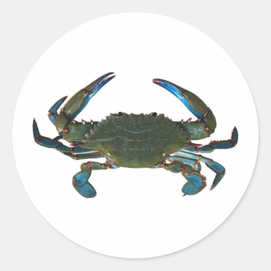 Sticker Rond Logo du crabe bleu de l'Atlantique (Devant)