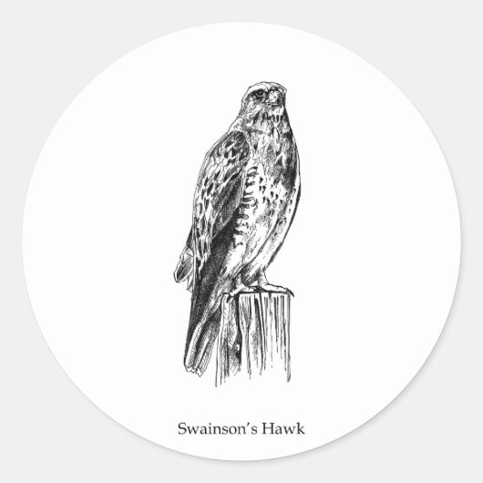 Sticker Rond Logo Swainson's Hawk (perché) (Devant)