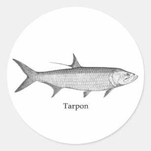 Sticker Rond Logo Tarpon (art linéaire)