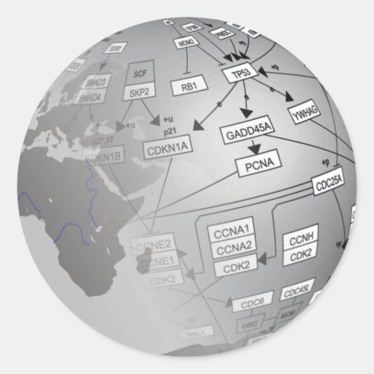 Sticker Rond Logo WikiPathways (Devant)