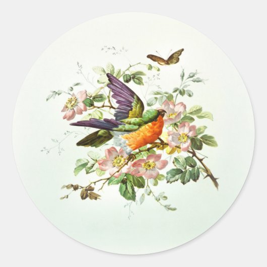 Sticker Rond L'oiseau et le papillon (Devant)