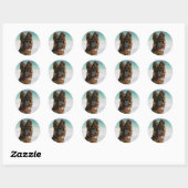 Sticker Rond Long Haired German Shepherd Beach (Feuille)
