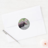 Sticker Rond L'orignal en mission (Enveloppe)