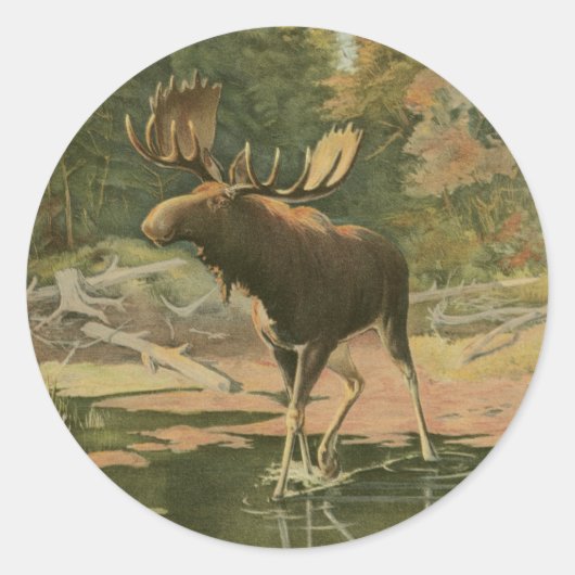 Sticker Rond L'orignal marche dans l'eau (Devant)