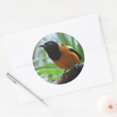 Sticker Rond L'Oriole d'Helaine (Enveloppe)