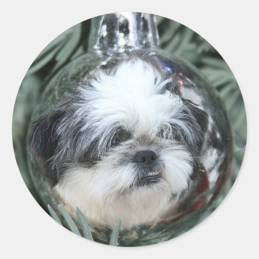 Sticker Rond L'ornement de Noël de Shih Tzu (Devant)
