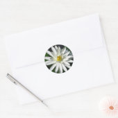 Sticker Rond Lotus Blossom (Enveloppe)