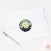 Sticker Rond Lotus Blossom Fleur Lily D'Eau (Enveloppe)