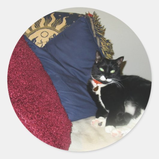 Sticker Rond Lounge Lucy (Devant)