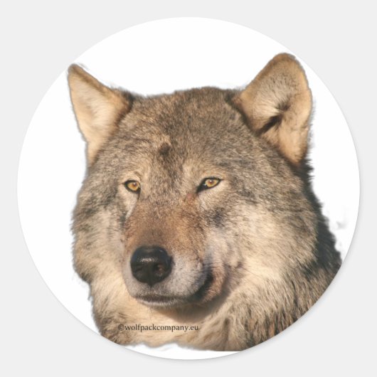 Sticker Rond loup (Devant)
