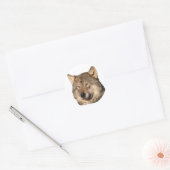 Sticker Rond loup (Enveloppe)