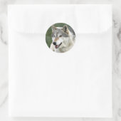 Sticker Rond Loup (Sac)