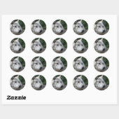 Sticker Rond Loup à bâtons (Feuille)