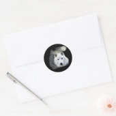 Sticker Rond loup des neiges arctique (Enveloppe)