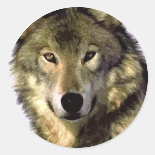 Sticker Rond Loup gris (Devant)