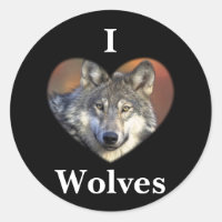 Loup gris