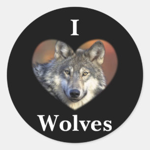 Sticker Rond Loup gris