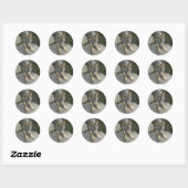 Sticker Rond Loup gris européen (Feuille)