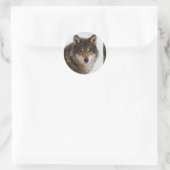 Sticker Rond Loup gris européen (Sac)