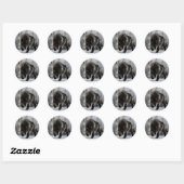 Sticker Rond Loup noir en colère (Feuille)