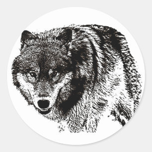 Sticker Rond Loup sauvage