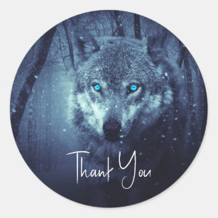 Sticker Rond Loup sauvage avec de beaux yeux bleus Merci