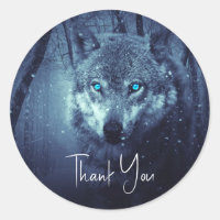 Loup sauvage avec de beaux yeux bleus Merci