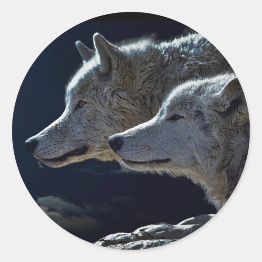Sticker Rond Loups (Devant)
