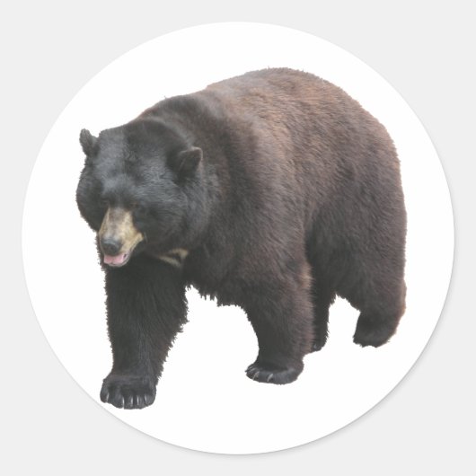 Sticker Rond L'ours de Helaine (Devant)