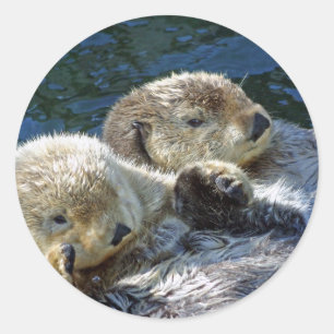 Sticker Rond Loutres de mer