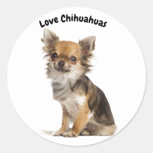 Sticker Rond Love Chihuahuas