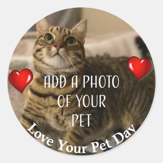 Sticker Rond Love Your Pet Day (Devant)