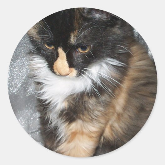 Sticker Rond Lovely Lucy Bell (Devant)