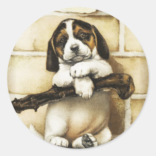 Sticker Rond Lovely Puppy