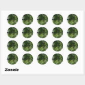 Sticker Rond Lumière Solaire À Travers Les Arbres (Feuille)
