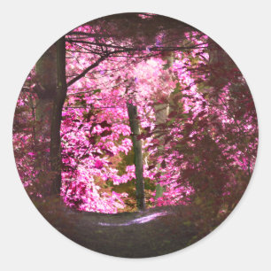 Sticker Rond Lumière Sur Le Chemin Du Bois Nature