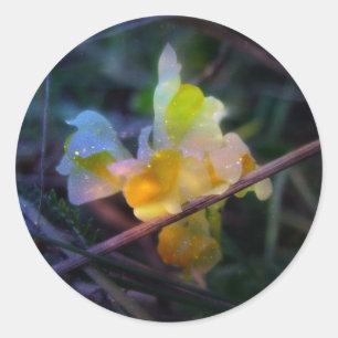 Sticker Rond Luminosité linéaire